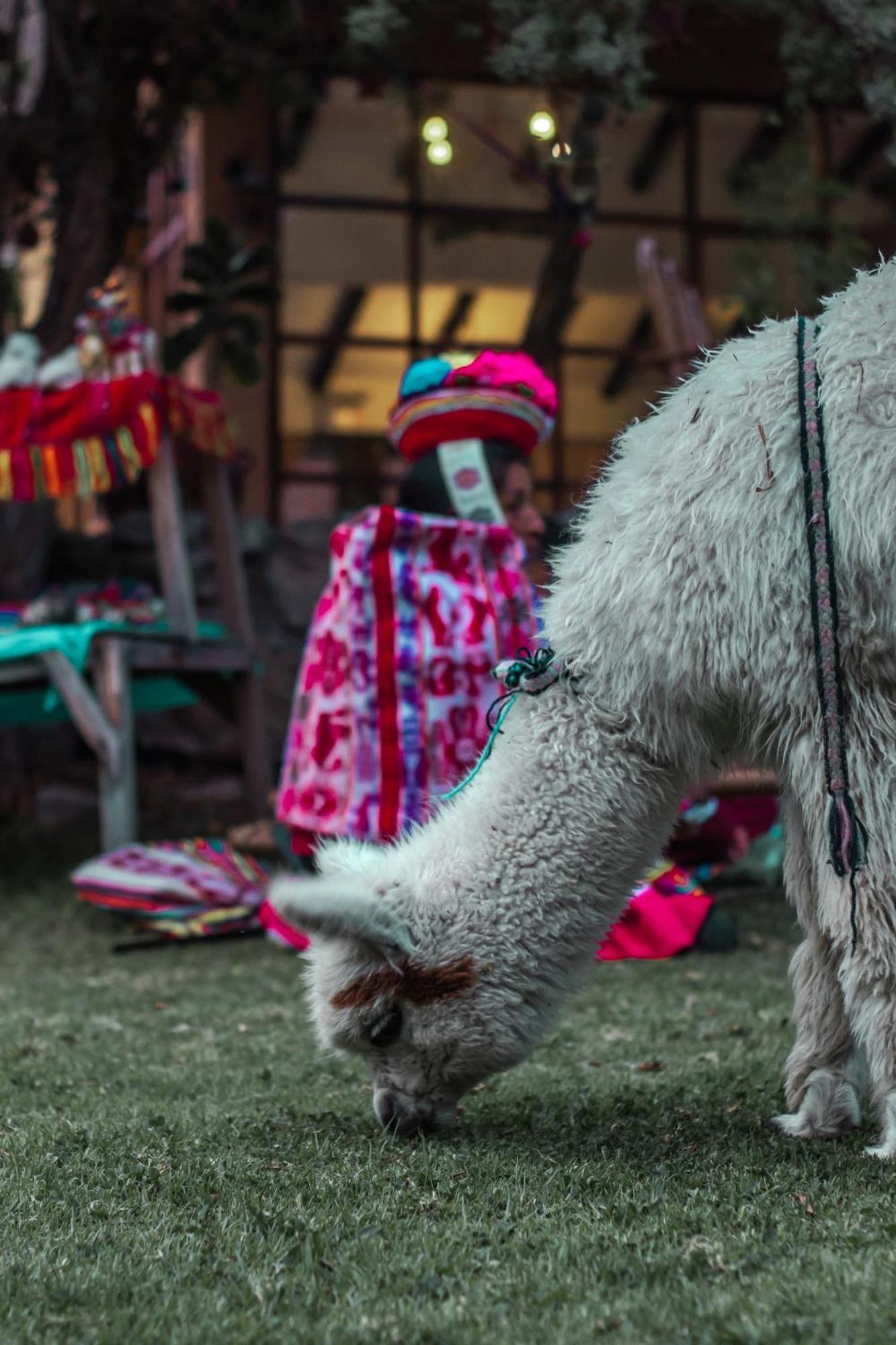 Andean Wings Valley ウルバンバ エクステリア 写真