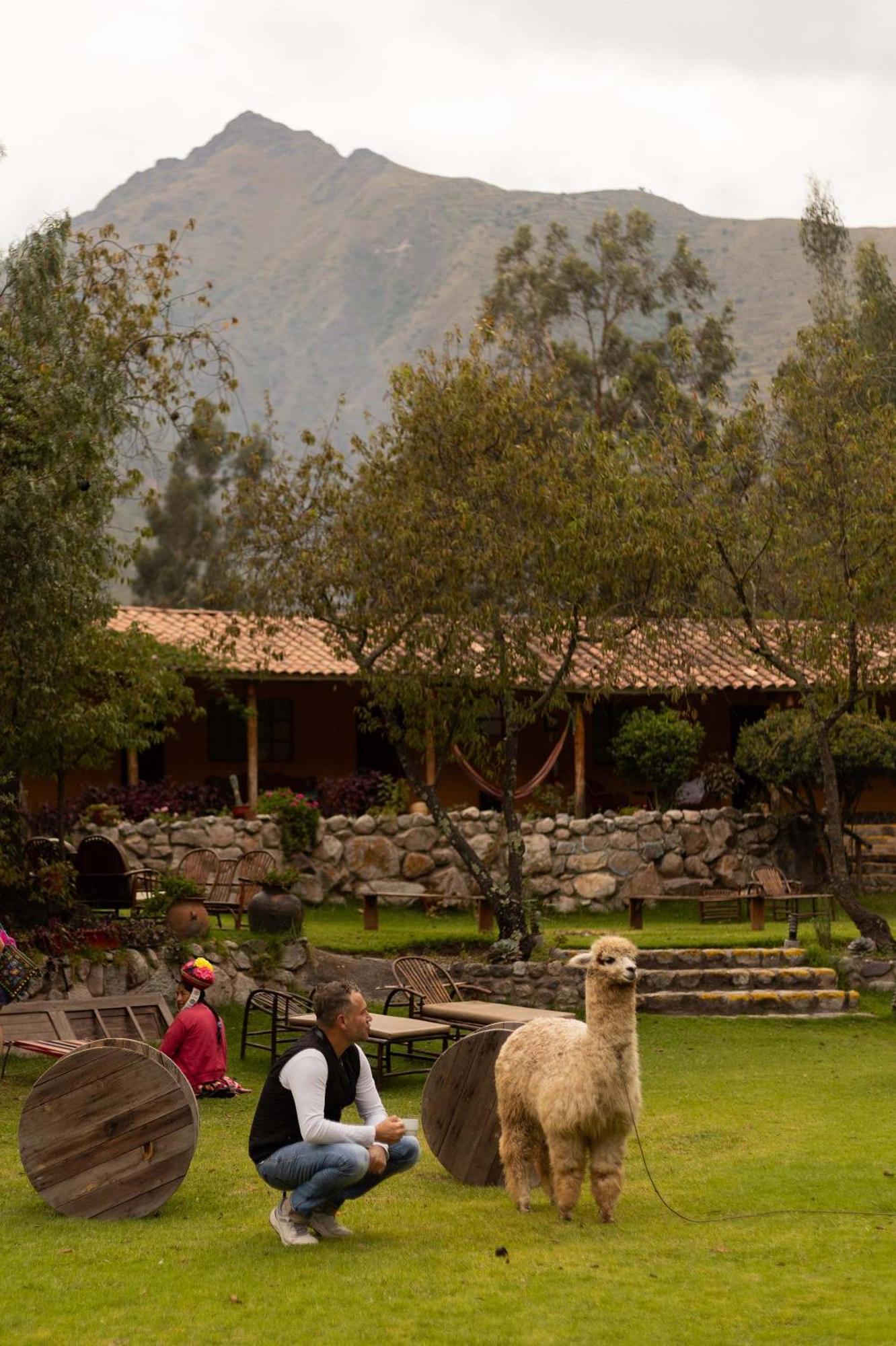 Andean Wings Valley ウルバンバ エクステリア 写真